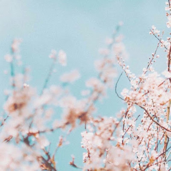 Meet your Posher, Kaylor - Picture 1 of 1